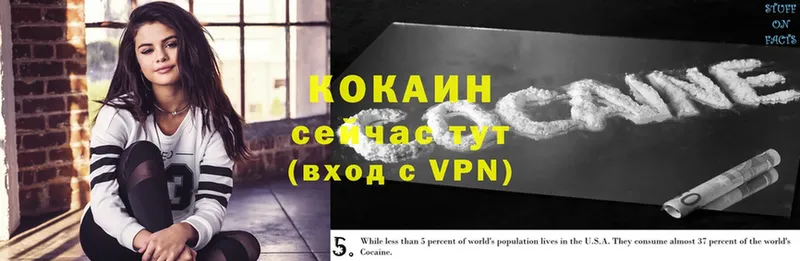 где продают наркотики  Киреевск  дарк нет состав  Cocaine VHQ 